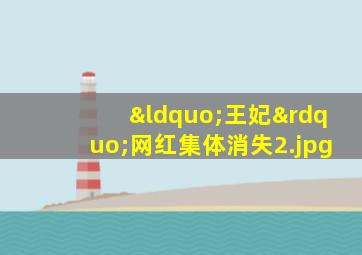 “王妃”网红集体消失