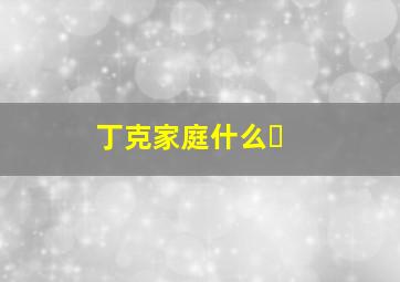 丁克家庭什么�