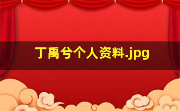 丁禹兮个人资料