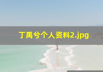 丁禹兮个人资料