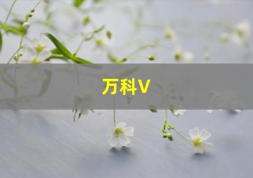 万科V 