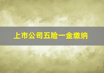 上市公司五险一金缴纳
