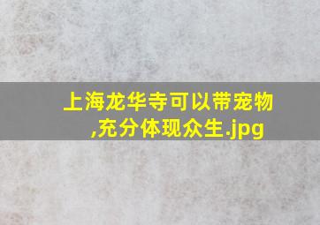 上海龙华寺可以带宠物,充分体现众生