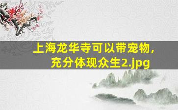上海龙华寺可以带宠物,充分体现众生