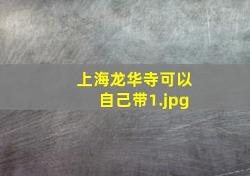 上海龙华寺可以自己带
