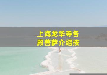 上海龙华寺各殿菩萨介绍按