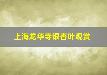 上海龙华寺银杏叶观赏