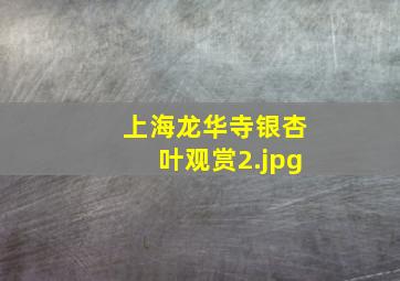 上海龙华寺银杏叶观赏