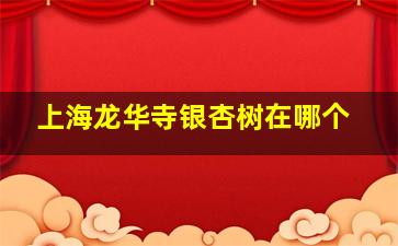 上海龙华寺银杏树在哪个