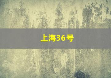 上海36号