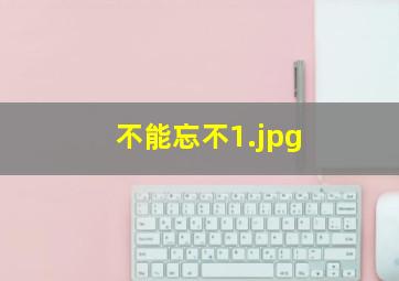 不能忘不