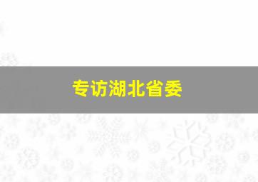 专访湖北省委