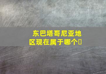 东巴塔哥尼亚地区现在属于哪个�
