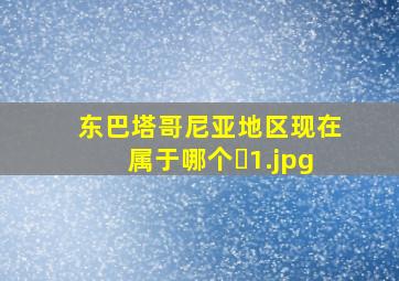 东巴塔哥尼亚地区现在属于哪个�
