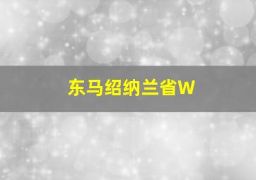 东马绍纳兰省W