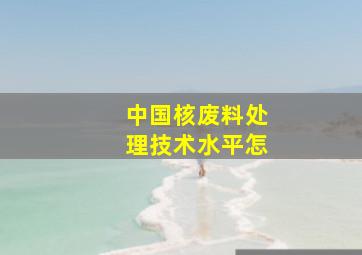 中国核废料处理技术水平怎