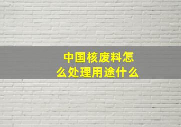 中国核废料怎么处理用途什么
