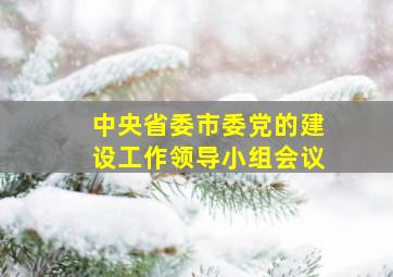 中央省委市委党的建设工作领导小组会议