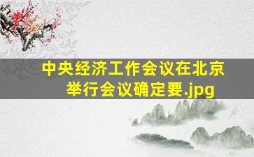 中央经济工作会议在北京举行会议确定要