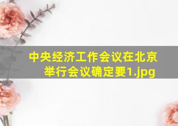 中央经济工作会议在北京举行会议确定要
