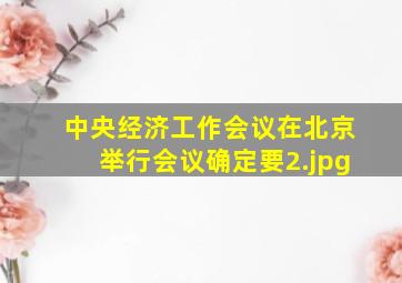中央经济工作会议在北京举行会议确定要