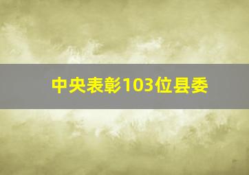 中央表彰103位县委