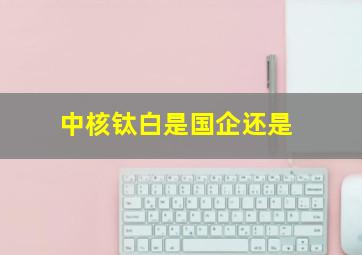中核钛白是国企还是