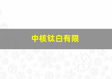 中核钛白有限