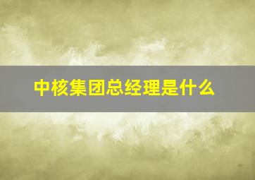 中核集团总经理是什么