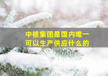 中核集团是国内唯一可以生产供应什么的