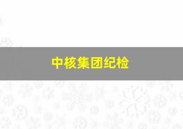 中核集团纪检