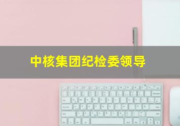中核集团纪检委领导