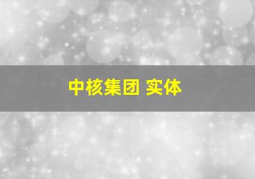中核集团 实体