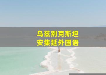 乌兹别克斯坦安集延外国语