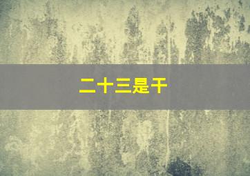 二十三是干