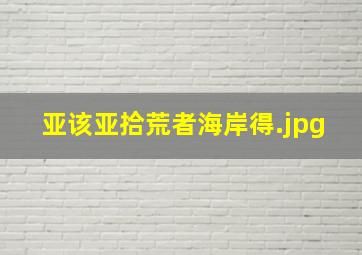 亚该亚拾荒者海岸得