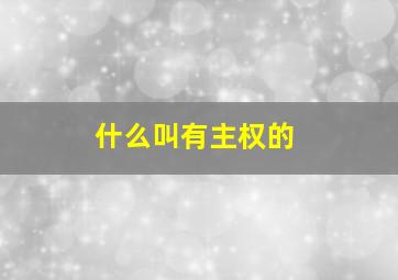 什么叫有主权的