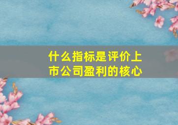 什么指标是评价上市公司盈利的核心