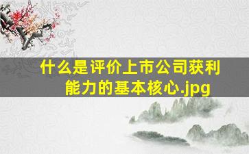 什么是评价上市公司获利能力的基本核心