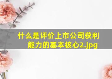 什么是评价上市公司获利能力的基本核心