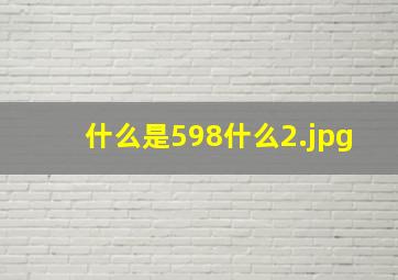 什么是598什么