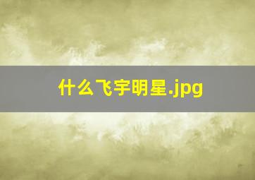 什么飞宇明星