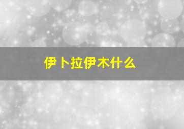 伊卜拉伊木什么