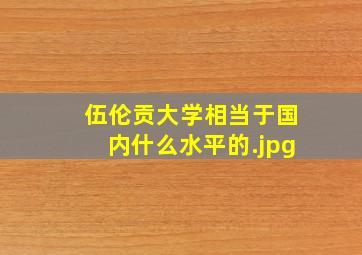 伍伦贡大学相当于国内什么水平的