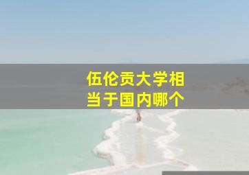 伍伦贡大学相当于国内哪个