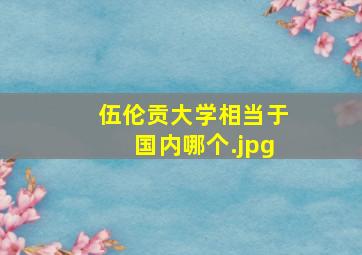 伍伦贡大学相当于国内哪个