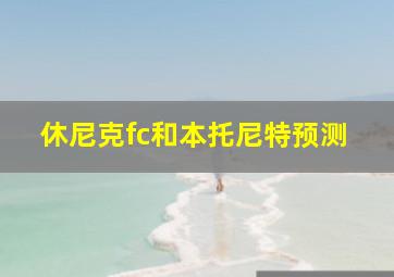 休尼克fc和本托尼特预测