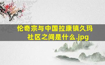 伦奇宗与中国拉康镇久玛社区之间是什么