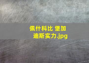 佩什科比 堡加迪斯实力