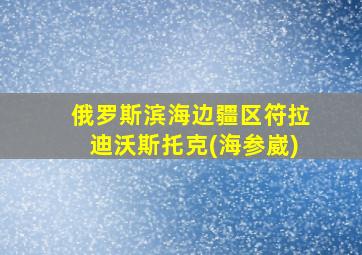 俄罗斯滨海边疆区符拉迪沃斯托克(海参崴)
